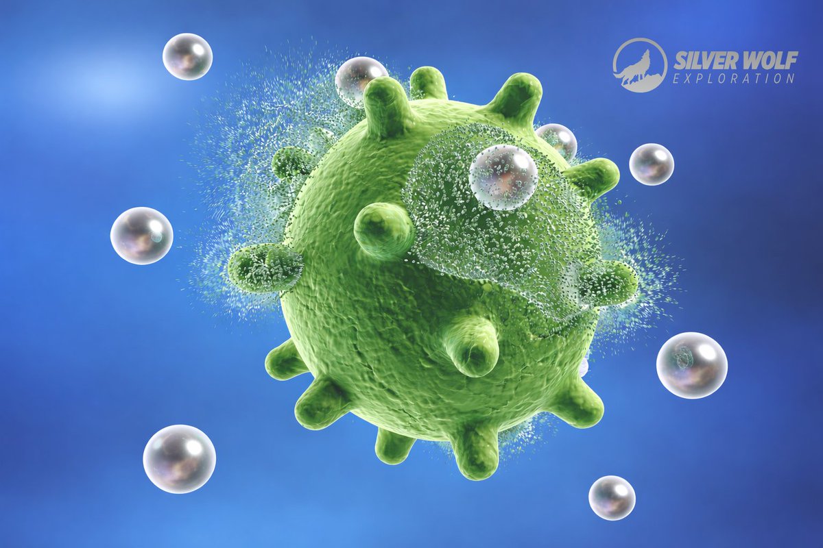 Silver Wolf Exploration tweet media