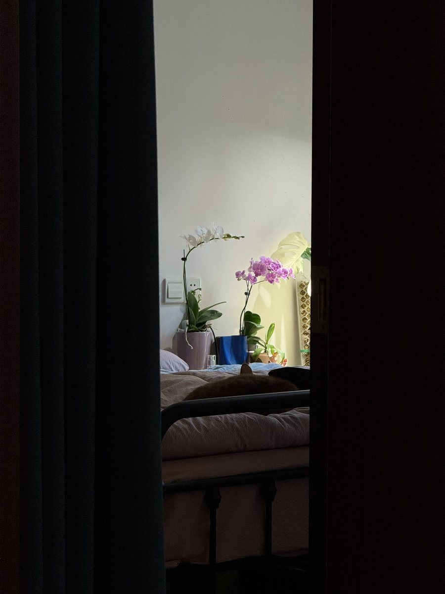 debuluoyi095 (@4yazs) on Twitter photo 