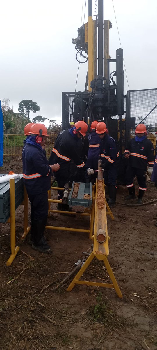 CanaryGoldCorp tweet media