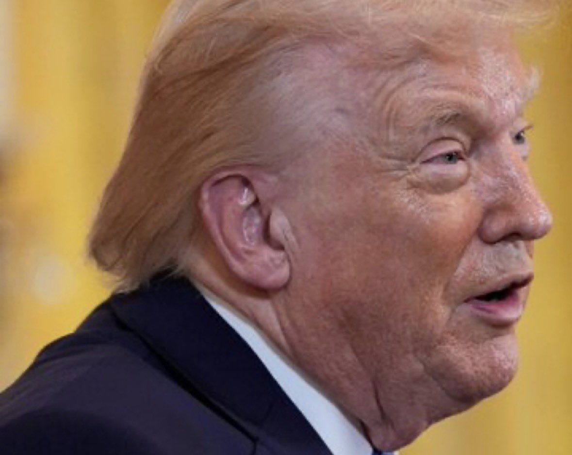 Markfry809's tweet image. There was a competent and capable woman available on the ballot and yet millions preferred this morally bankrupt and utterly broken POS 

what does that say about American society?