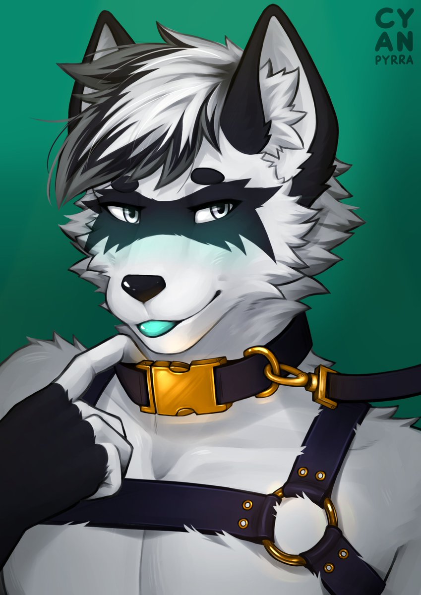 CyanPyrra.rar tweet media