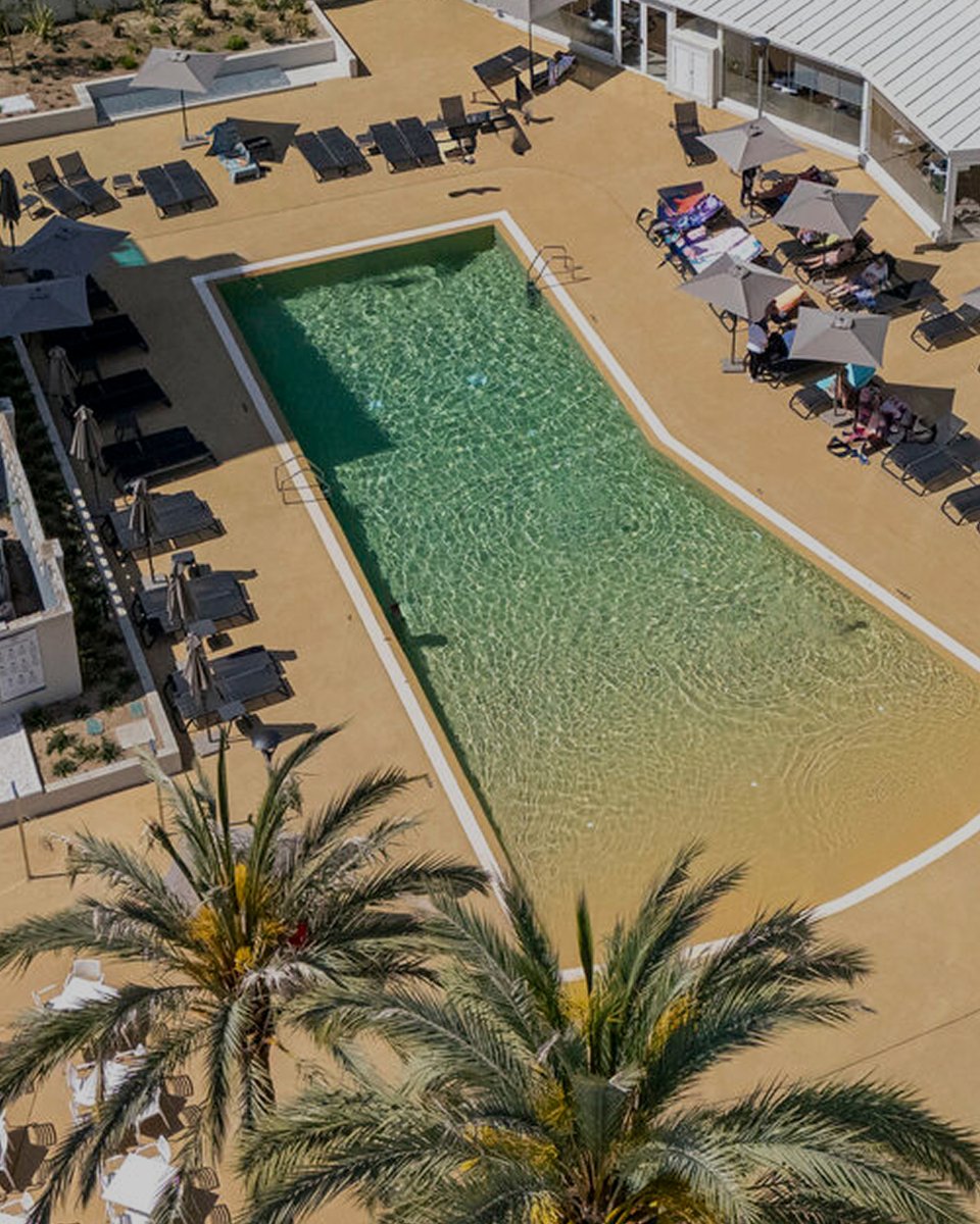 Medplaya.com tweet media