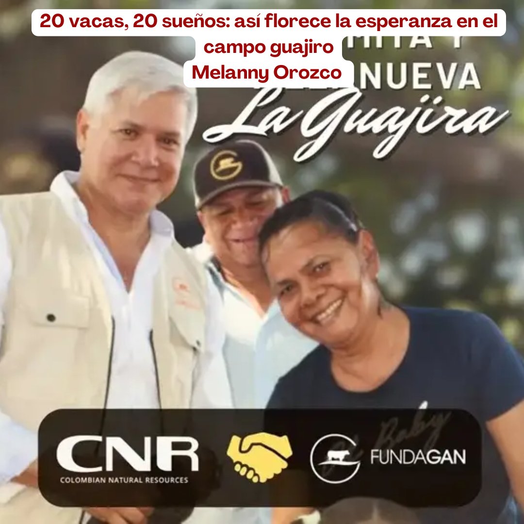 En los municipios de Villanueva y Urumita, 20 mujeres cabeza de hogar recibieron novillas preñadas como parte de una iniciativa que siembra futuro donde más se necesita. 🐄🤍

@fedegan_col @jf_lafaurie @contganadero #ConstruyendoGanadería #OrgullosamenteGanaderos