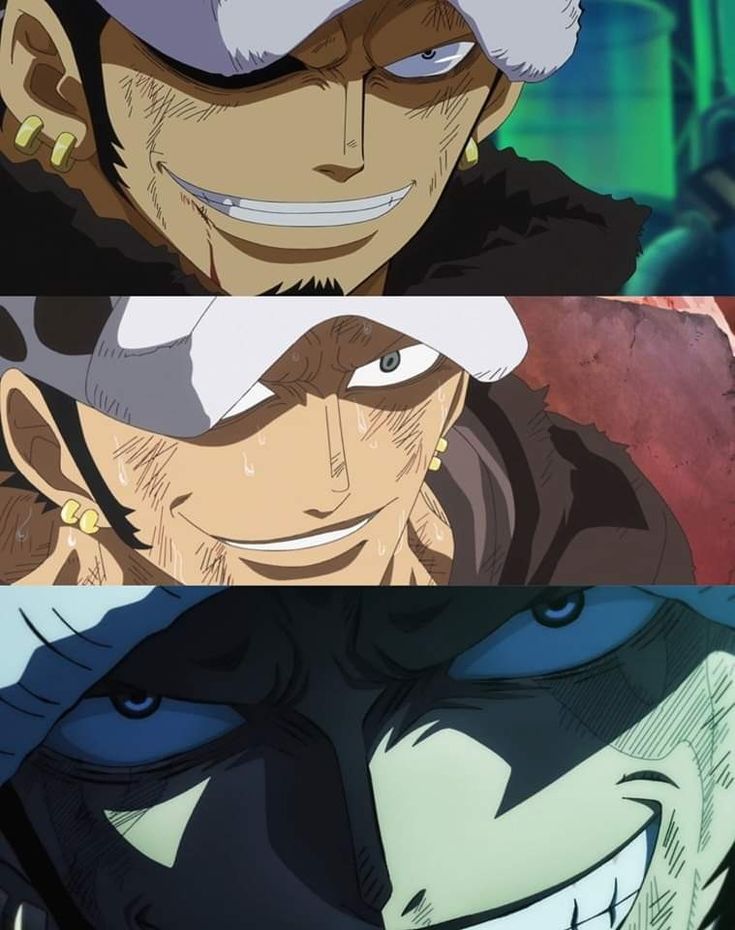 Daily Trafalgar Law tweet media