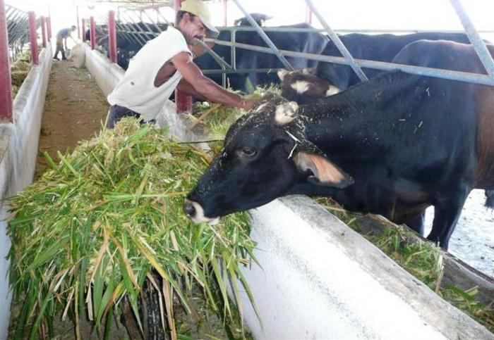 Este miércoles continuaron por Las Tunas y Camagüey las reuniones  extraordinarias de los consejos provinciales de Gobierno que se realizan  en todo el país, las cuales estuvieron presididas por el primer  ministro de la República, Manuel Marrero Cruz
#SanctiSpíritusEnMarcha