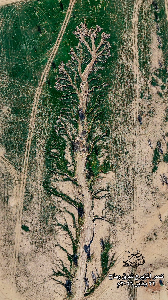 algnobe2000's tweet image. 🔴 شاهد لوحة فنية يرسمها الربيع في تضاريس كسر المزيرع" 🔴

هي (فيضة) تقع ضمن نطاق #محمية_الامام_عبدالعزيز_بن_محمد_الملكية
 شرق محافظة رماح شمال شرق مدينة #الرياض

منظر عجيب كانه شجرة مع جذورها واغصانها

و تكتسي الان بالخضرة وتتحول إلى لوحة فنية مما تشاهدونها بالصور

٣ شعبان…