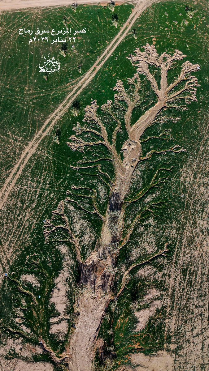 algnobe2000's tweet image. 🔴 شاهد لوحة فنية يرسمها الربيع في تضاريس كسر المزيرع" 🔴

هي (فيضة) تقع ضمن نطاق #محمية_الامام_عبدالعزيز_بن_محمد_الملكية
 شرق محافظة رماح شمال شرق مدينة #الرياض

منظر عجيب كانه شجرة مع جذورها واغصانها

و تكتسي الان بالخضرة وتتحول إلى لوحة فنية مما تشاهدونها بالصور

٣ شعبان…