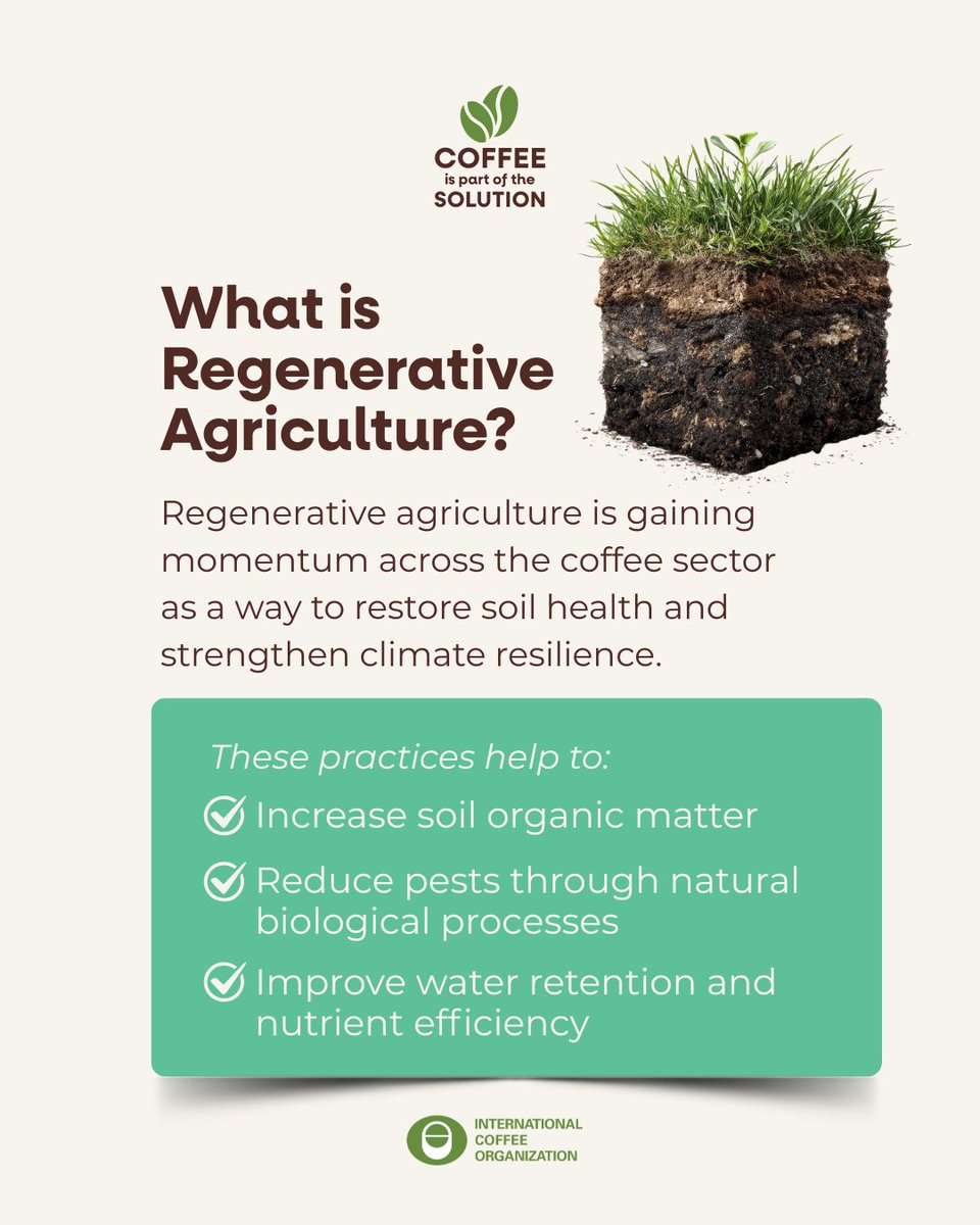 International Coffee Organization (ICO) tweet media