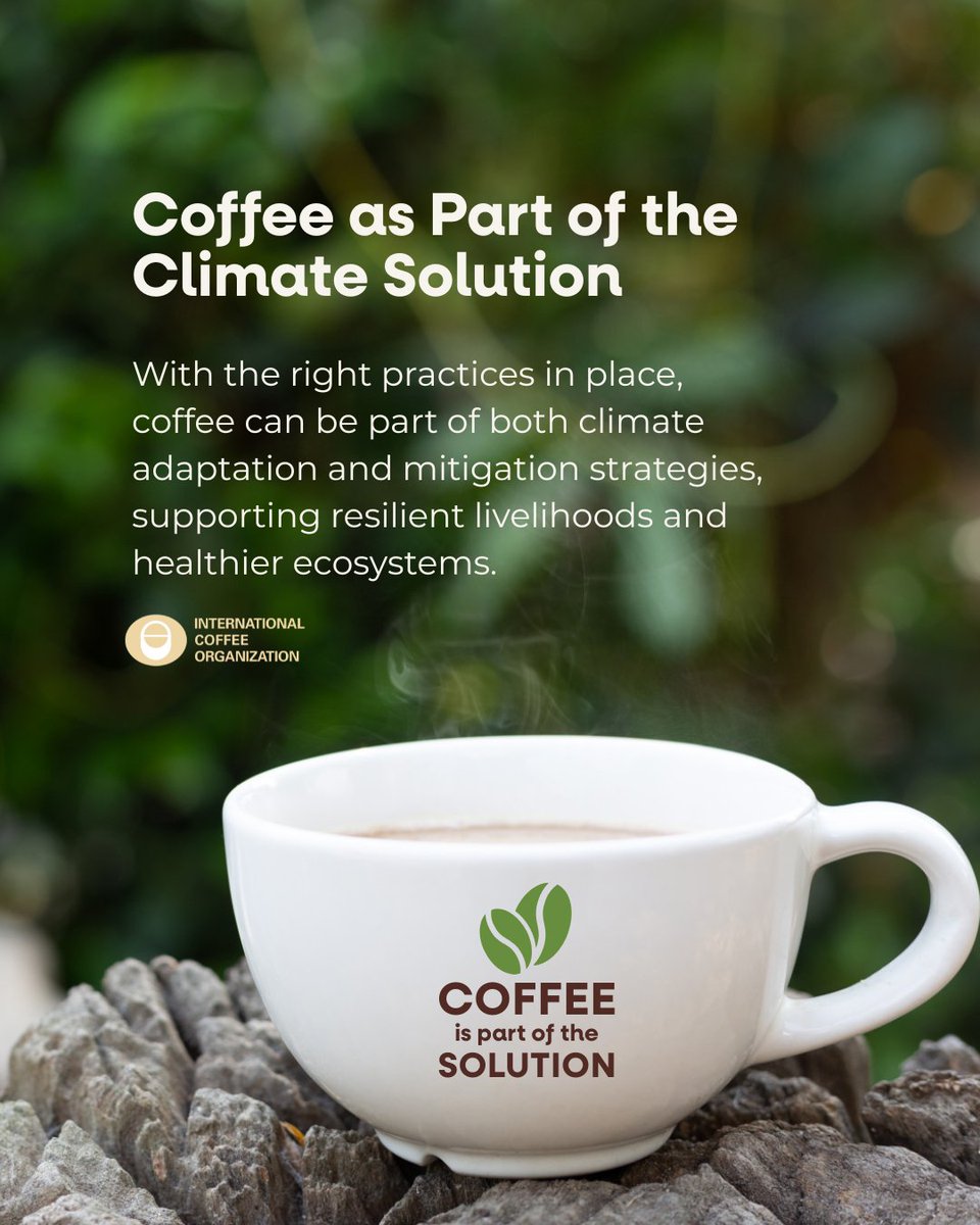 International Coffee Organization (ICO) tweet media