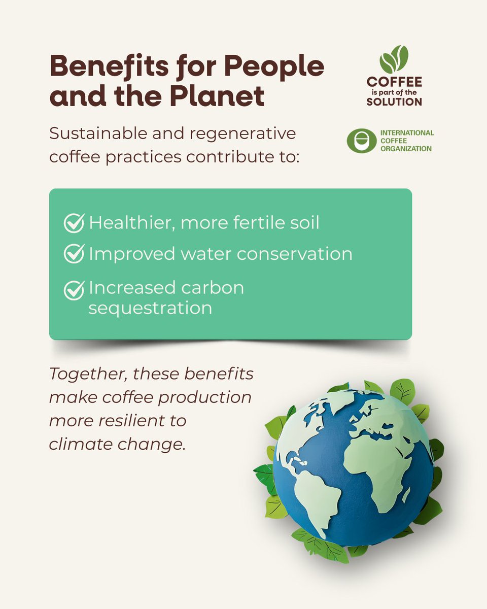 International Coffee Organization (ICO) tweet media