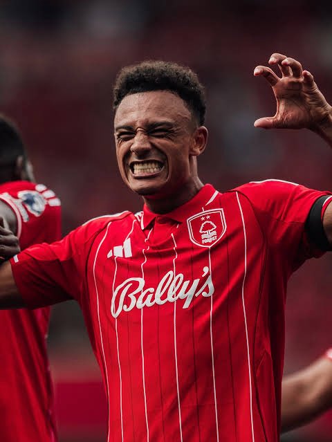 Forestmad 🔴⚪️ tweet media