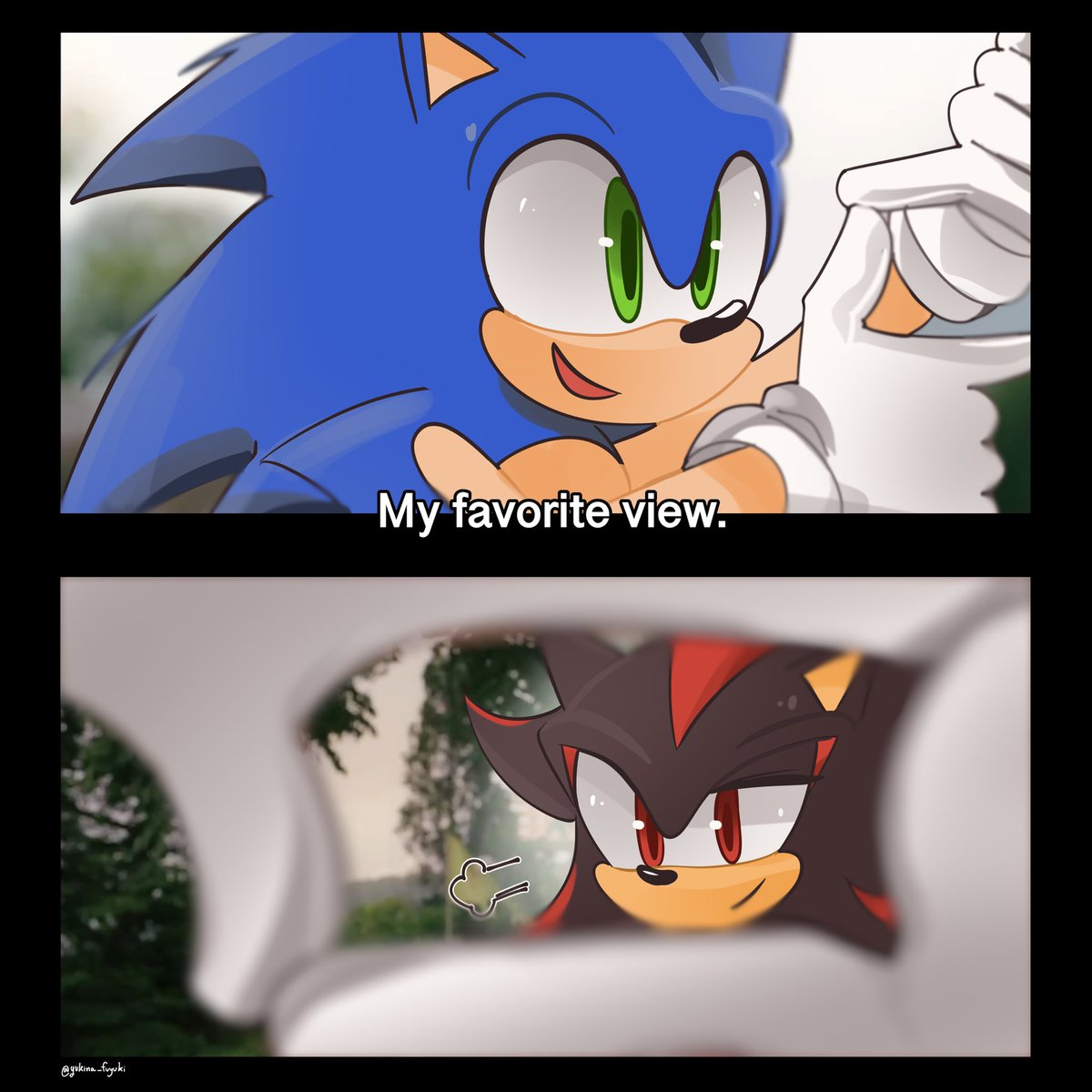 The Blue Blur’s fav view

#sonadow #Shadonic