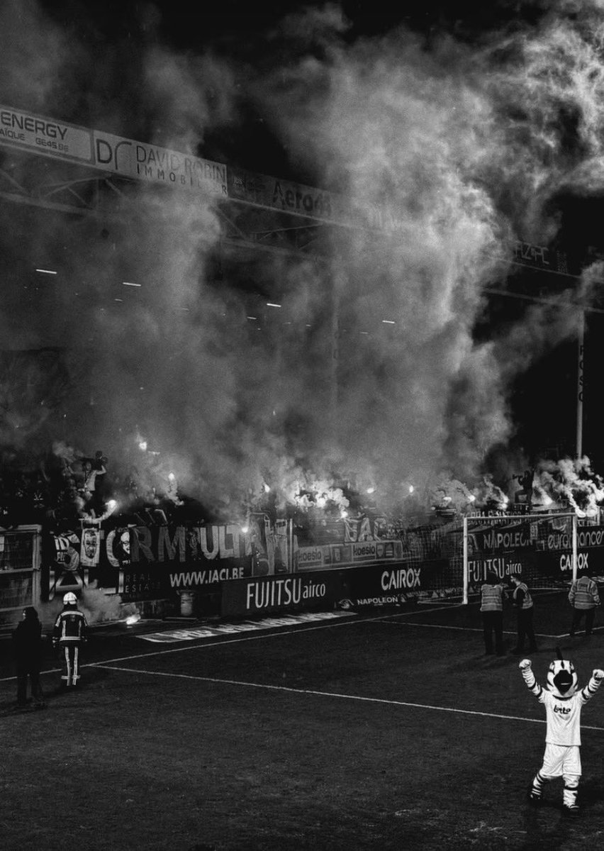 Pflückinho🦓🇧🇪 tweet media