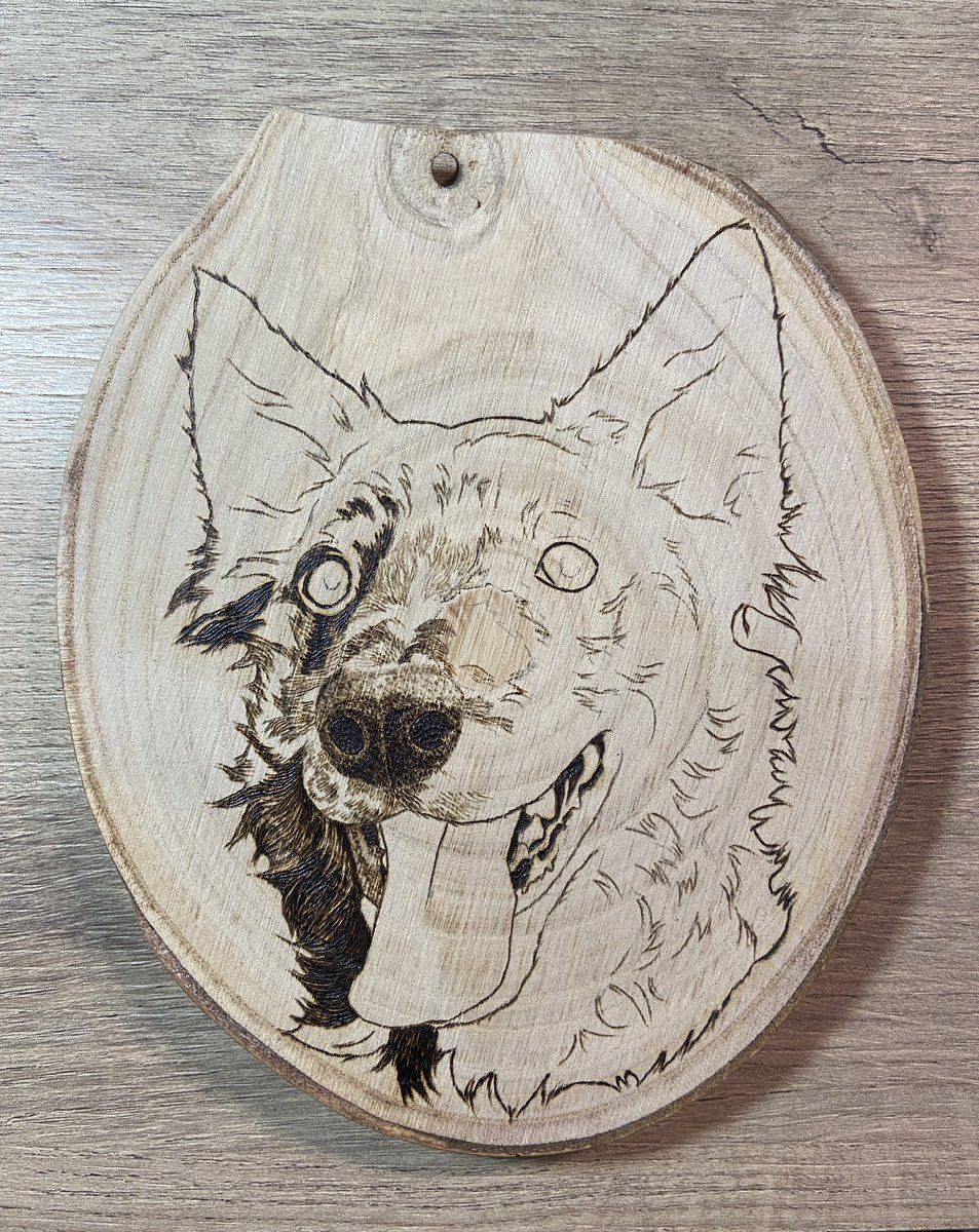 Woodburning wip mudi portrait 🐺🔥