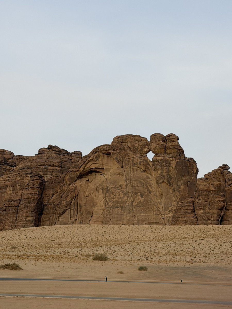 rana🪴 tweet media