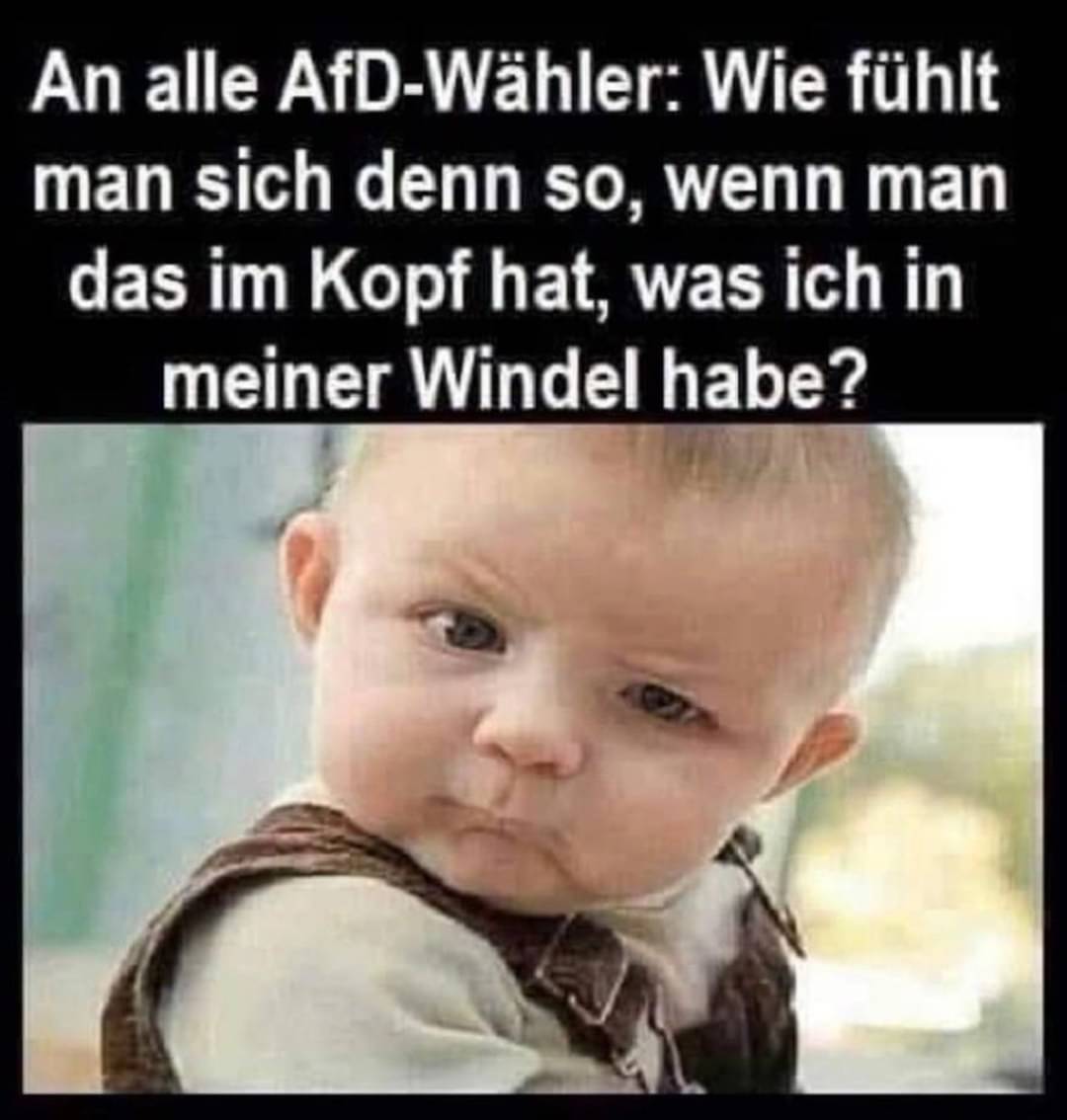 No Comment 

#Populismus #noafd #fckafd #NazisRaus #AfDmachtDumm #wirsindmehr #afDnee #FCKNZS #fckafd #wirsindantifa