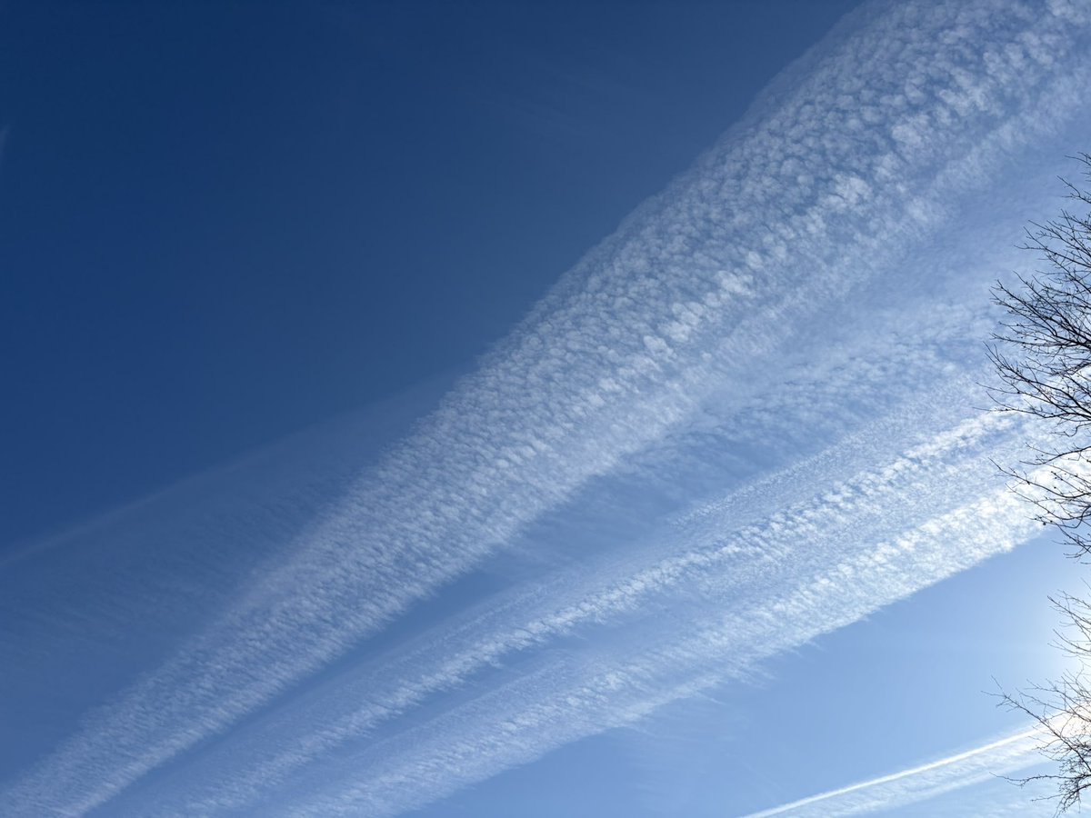 MJTruthUltra's tweet image. The east coast is due for a “major snow storm” this weekend… 

This is in Maryland and only one section of the sky. They have been spraying all week non stop.

How much does this contribute to weather events?

How has your chemtrails been this week?