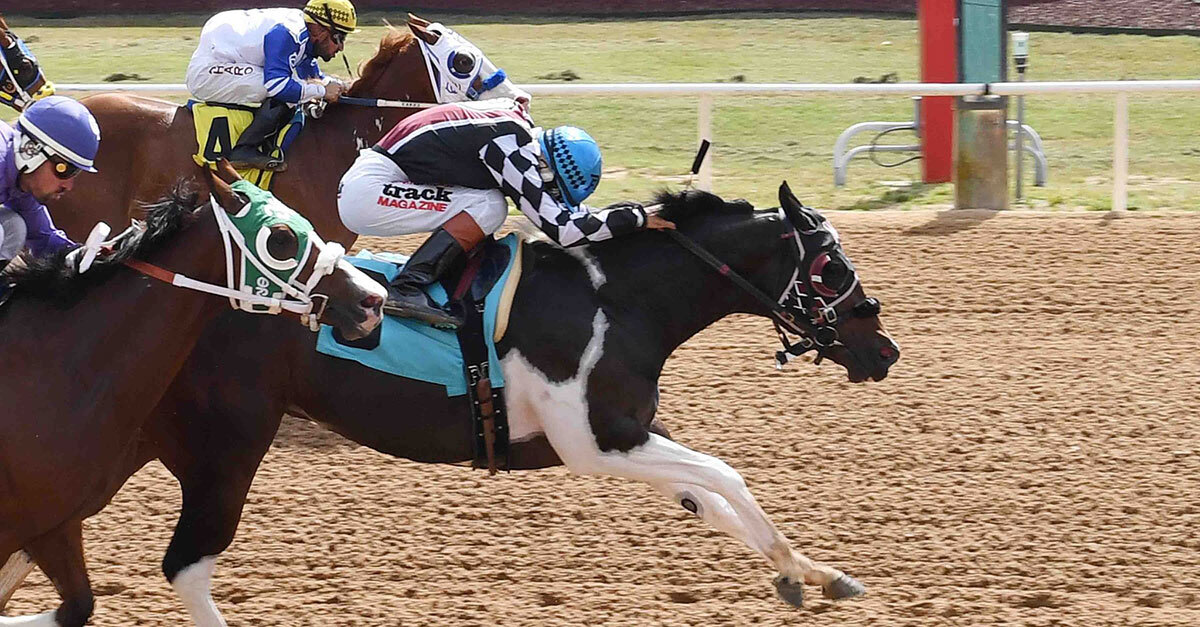 Congratulations to the 𝟮𝟬𝟮𝟱 𝗔𝗣𝗛𝗔 𝗥𝗲𝗴𝗶𝗼𝗻𝗮𝗹 𝗥𝗮𝗰𝗶𝗻𝗴 𝗔𝘄𝗮𝗿𝗱 𝘄𝗶𝗻𝗻𝗲𝗿𝘀! 

Meet the winners 🔗 bit.ly/2025RegionalRa…

Photo credit 📸 Jack Coady Photography

#MarkedForGreatness | #APHA | #PaintHorse