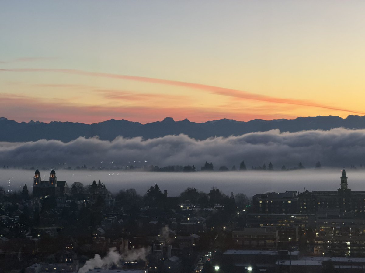 inika⛓ tweet media