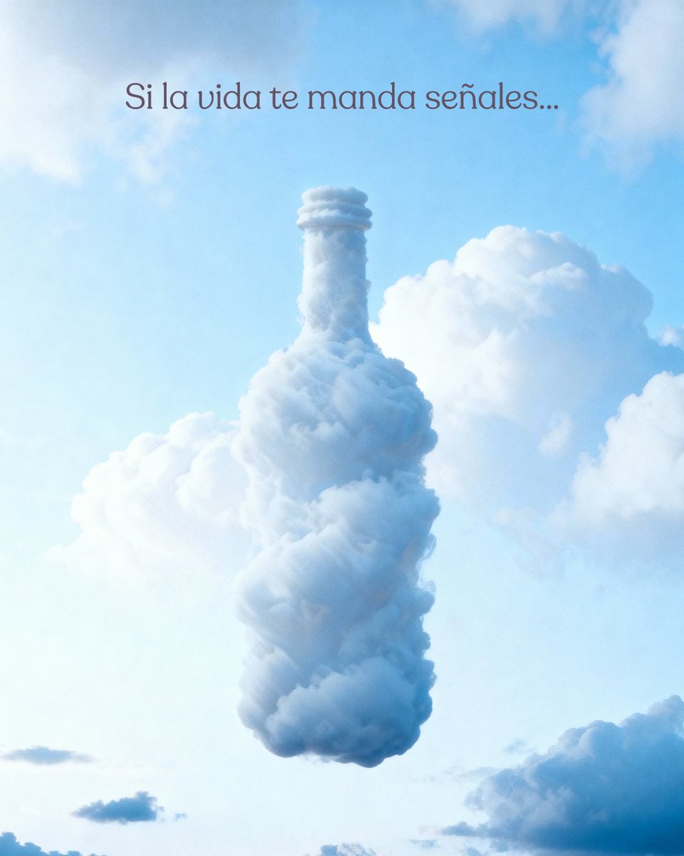 Bodegas Muriel tweet media