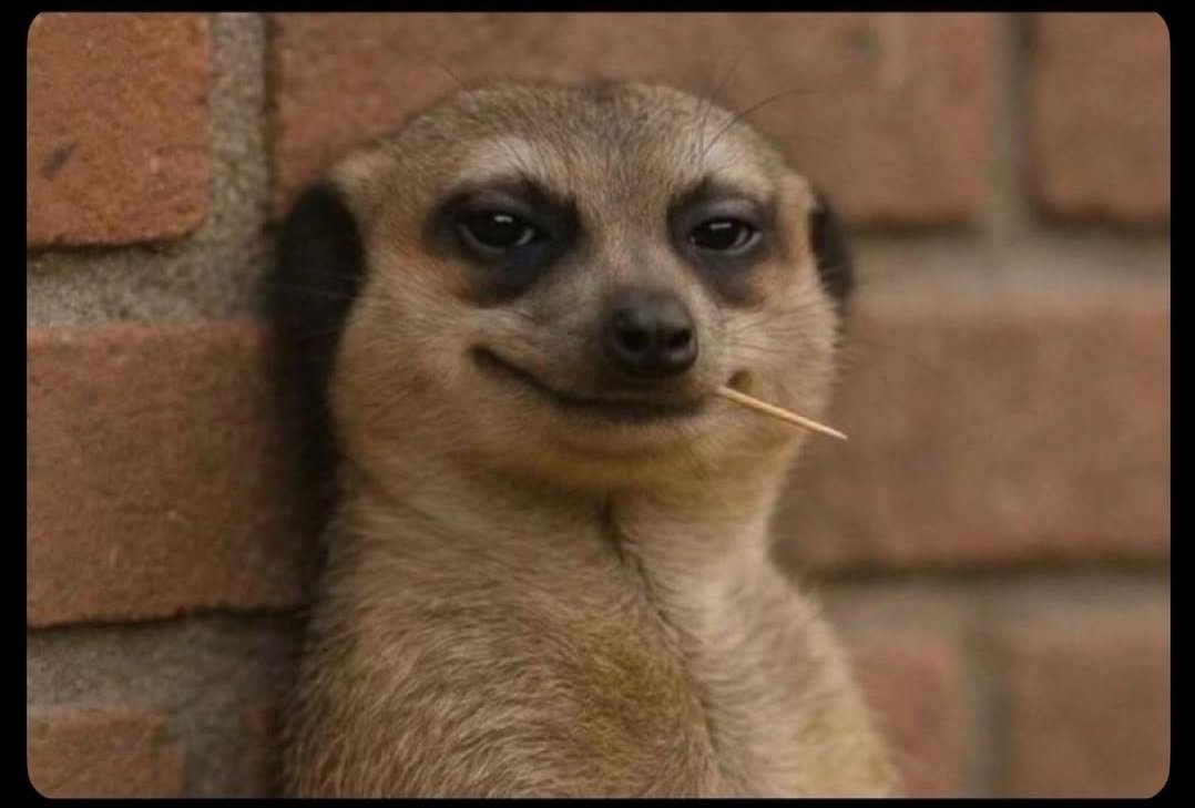 IShowSpeed for come Jos 😫😫