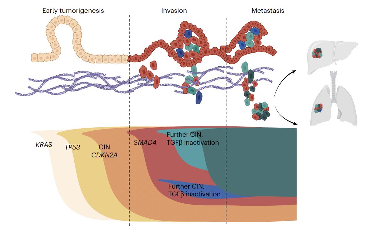 Eric Topol tweet media