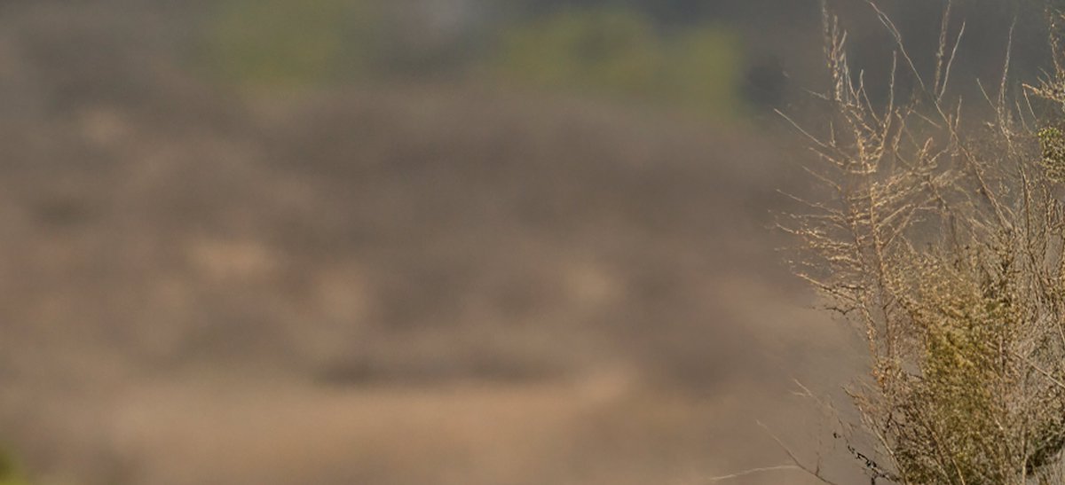 محمية الشمال للصيد المستدام tweet media