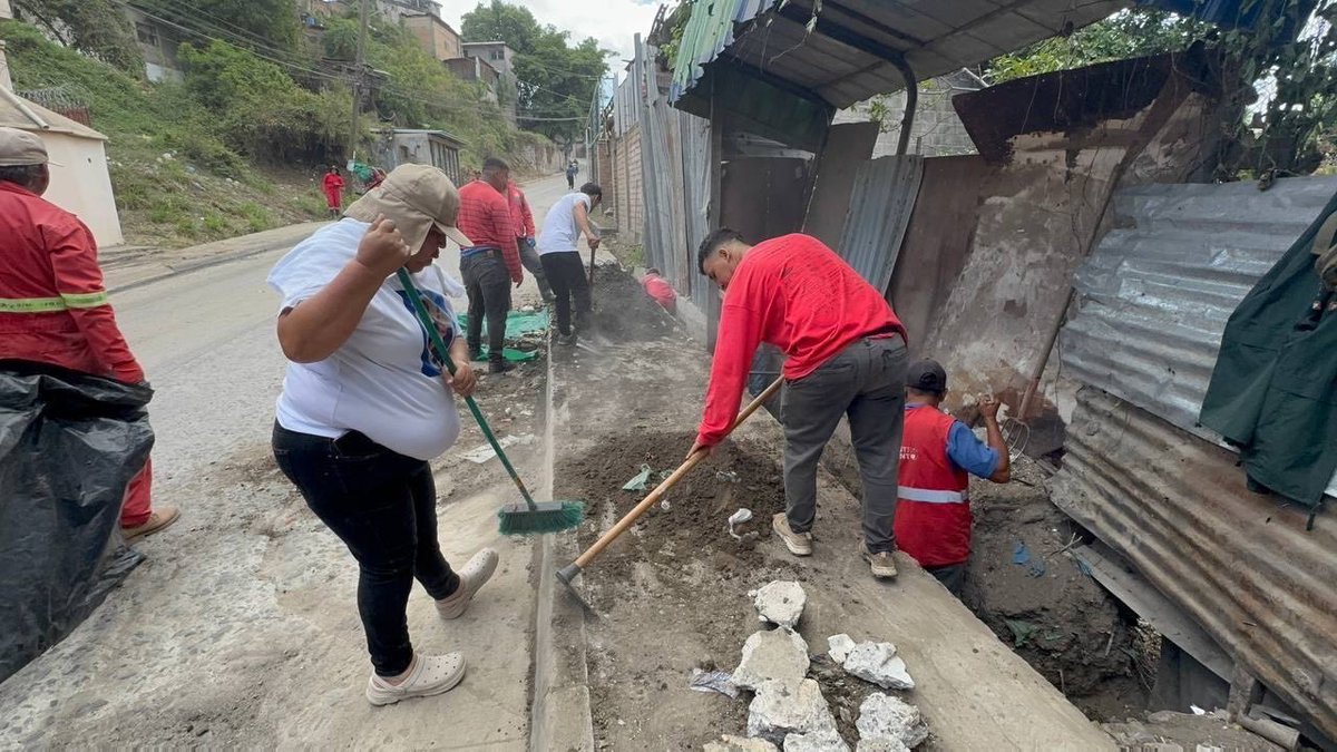 AlcaldiaDCHN's tweet photo. 🚮♻️ Con la campaña Guerra Contra la Basura, recolectamos desde el 2022 al 2025, más de 38,700 toneladas de desechos en la capital, recuperando espacios públicos y fortaleciendo la limpieza de la ciudad.

❤️¡Lo hecho con el corazón, está bien hecho!

#GuerraContraLaBasura #CapitalLimpia #CuidemosLaCiudad #GestiónAmbiental #HechoConElCorazón
