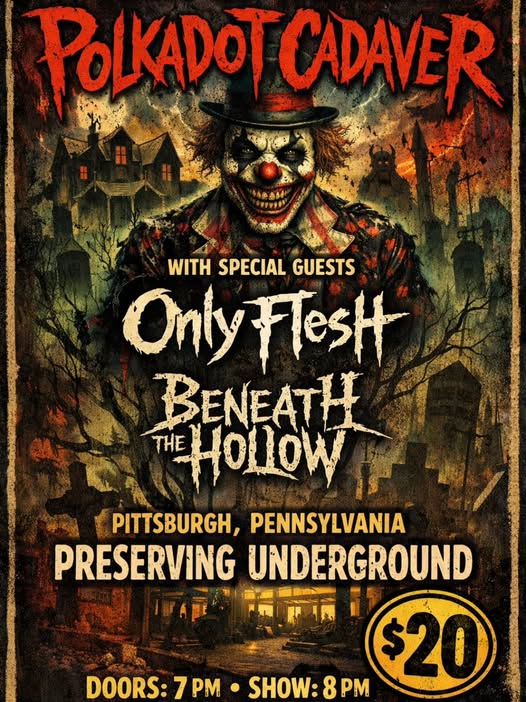 rottenrecords tweet media