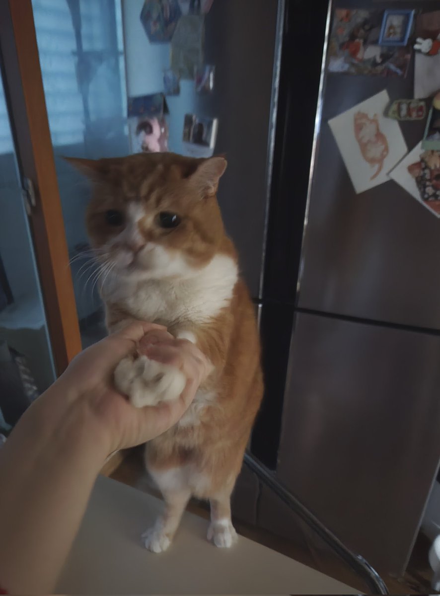 안녕하딥니카 1/29 초록 ⸝⸝ʚ̴̶̷̆ ̯ʚ̴̶̷̆⸝⸝ 입장권이라도 너무너무 필요해요 ㅠ ㅠ 정말 아무 자리나 좋고 당일 양도 또는 공연 시작 10분 전에 갑자기 갈 수 없는 상황이라 양도가 하고 싶다? 그럴 경우에 저 깐냥이를 잊지 말고 찔러바 주세요 ....... 그럼 기다리고 잇겟습니다,,