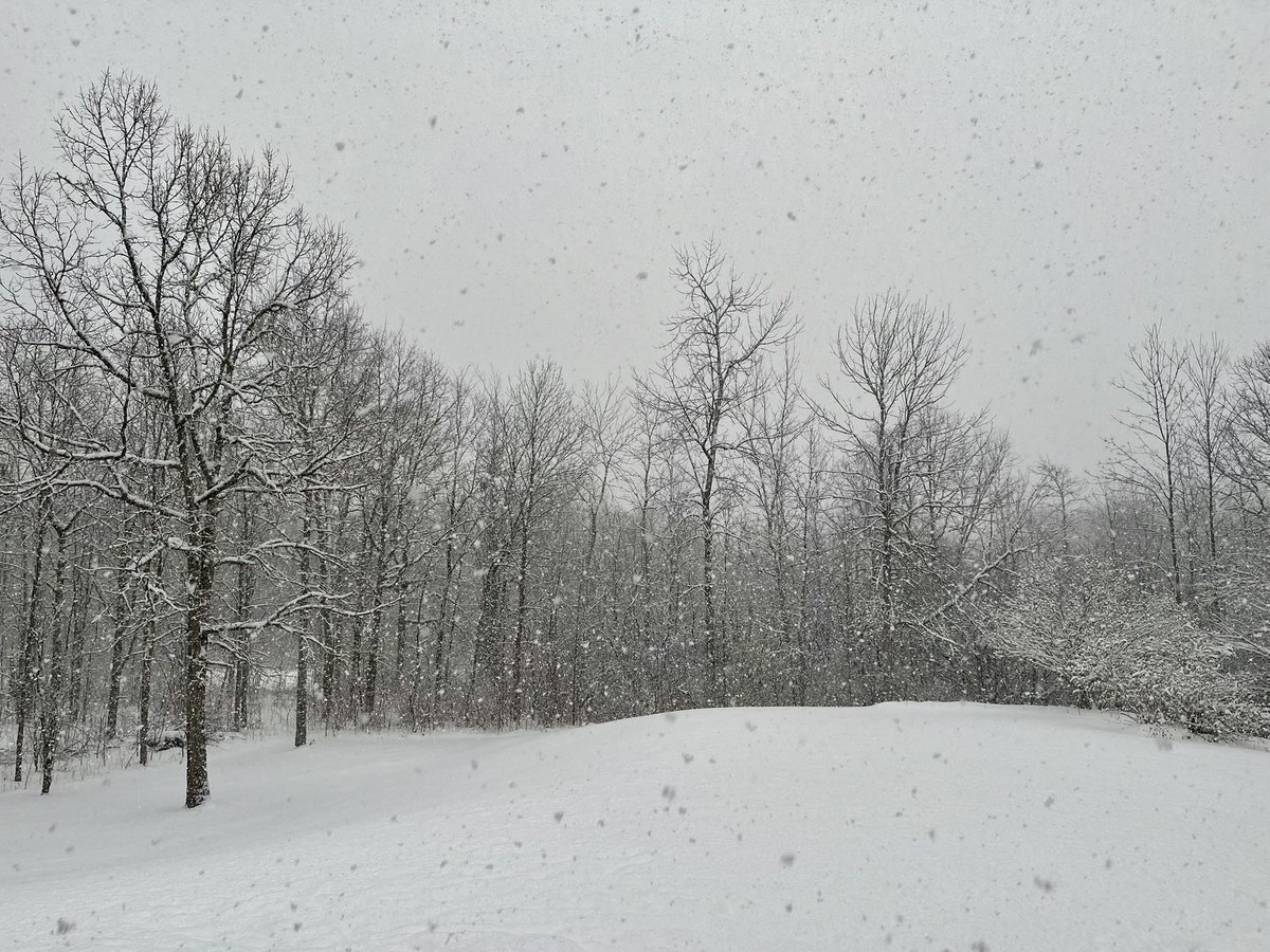 Melissa Ostrom tweet media