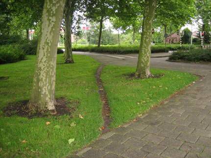 Los Árboles Mágicos ®️, (by Oscar Gaitan) tweet media