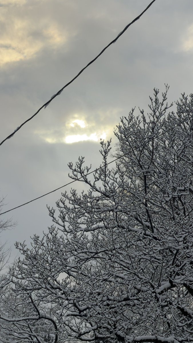 Winds of winter ❄️ 
#new #Wallpaper