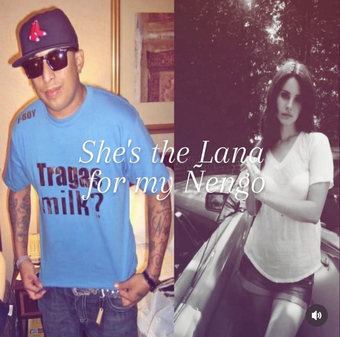 okPomes's tweet image. 