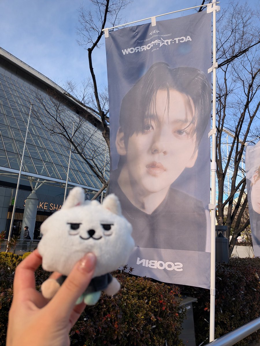 致死量の美を浴びた