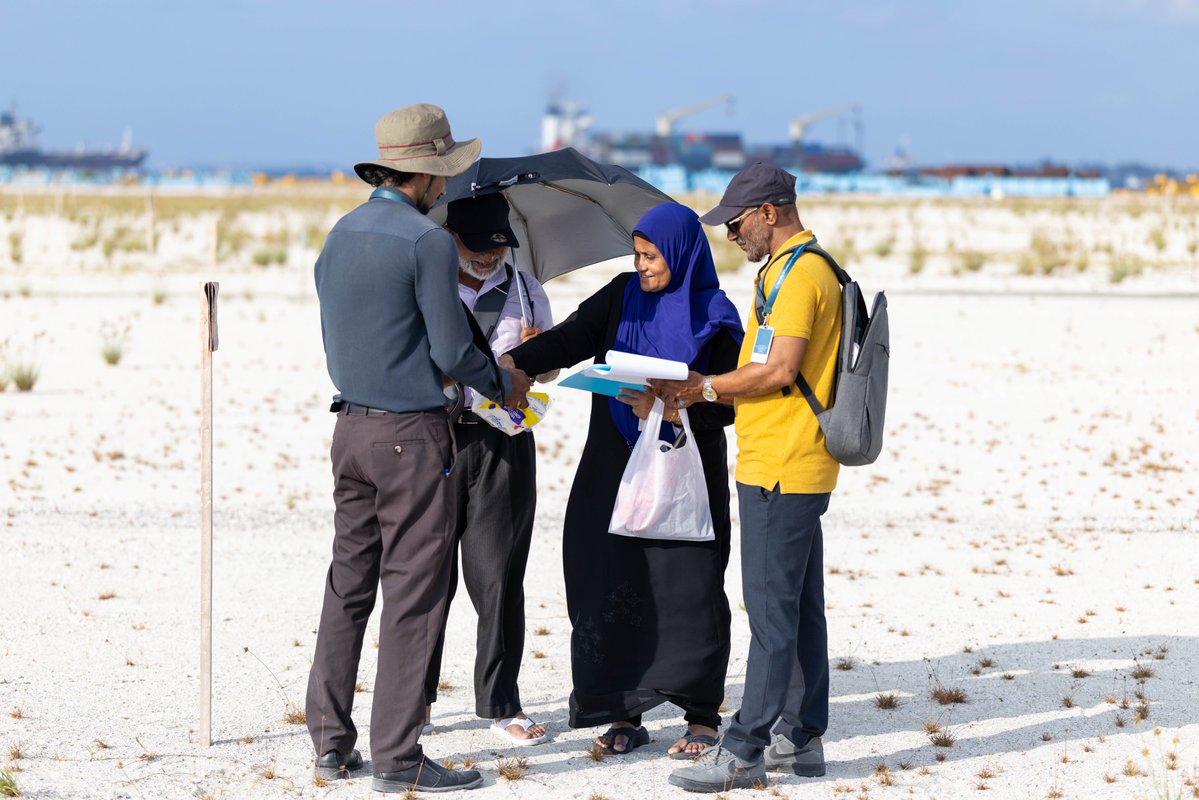 ބިންވެރިޔާ ސްކީމްގެދަށުން ގުޅީފަޅުން ދޫކުރާ ގޯތިތަކުގެ ބިންތައް އޭގެ ވެރިފަރާތްތަކާ ހަވާލުކުރުމުގެ މަސައްކަތުގެ ތެރެއިން 41 ފަރާތަކާ މިއަދު ވަނީ ގޯތި ހަވާލުކުރެވިފައި.