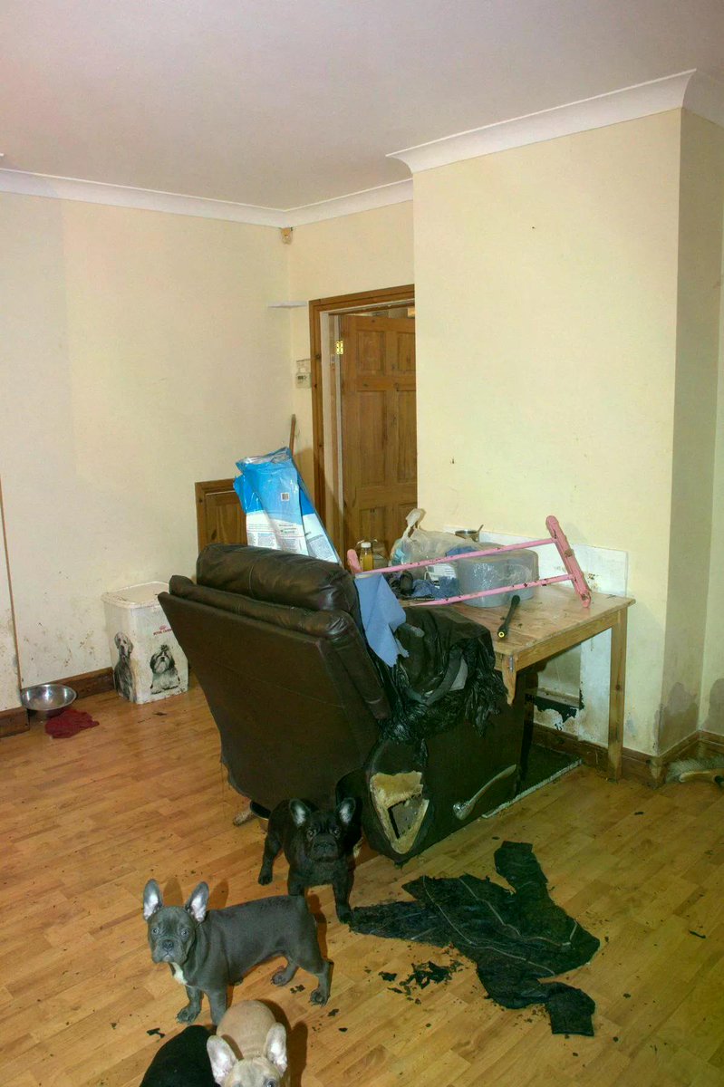 Hope Rescue tweet media