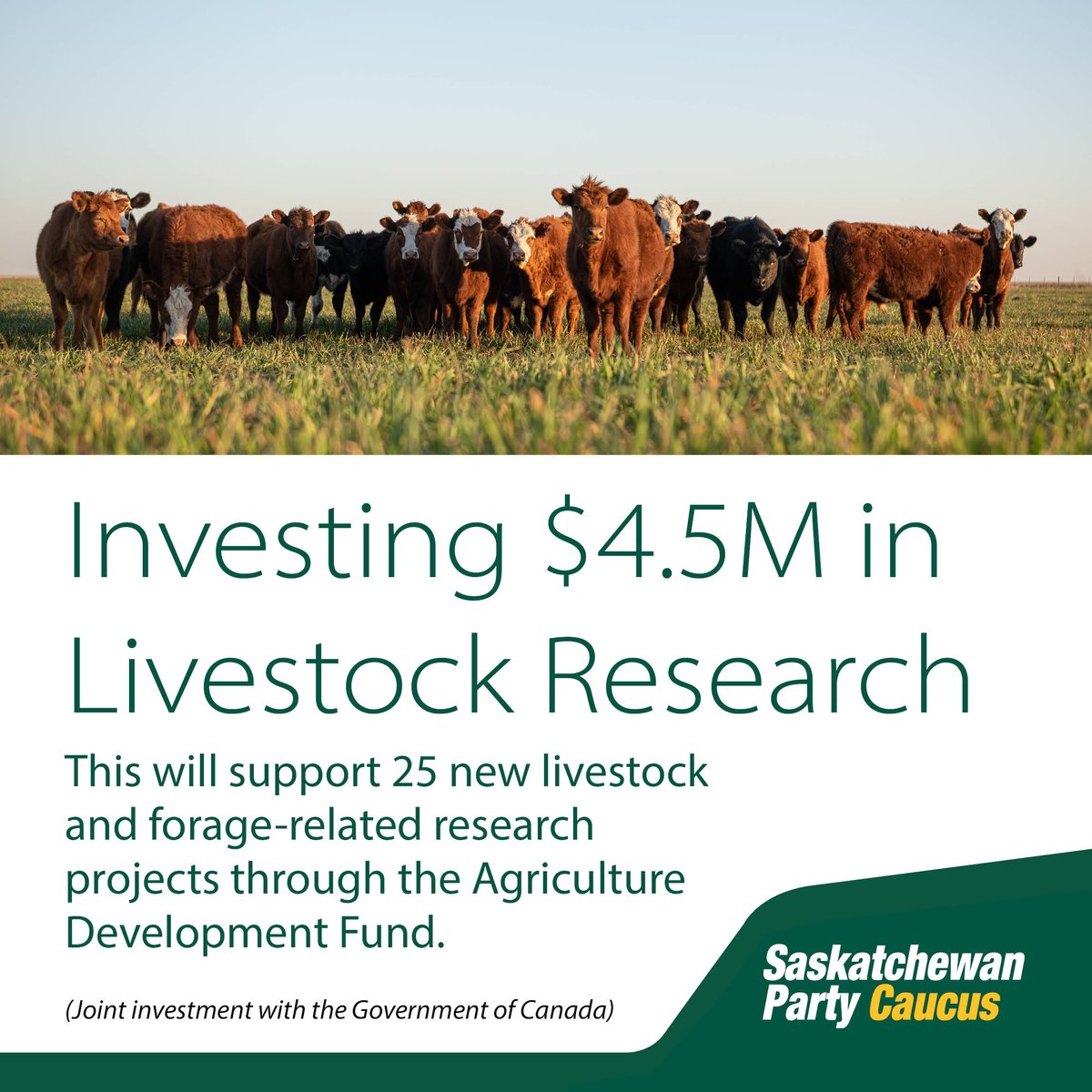 BarretMLA's tweet photo. Our government is investing in research that will deliver innovation to livestock producers, helping them to adapt, stay competitive and thrive in an everchanging industry. Projects are selected through an annual competitive process. https://t.co/ivDFPbGgOq