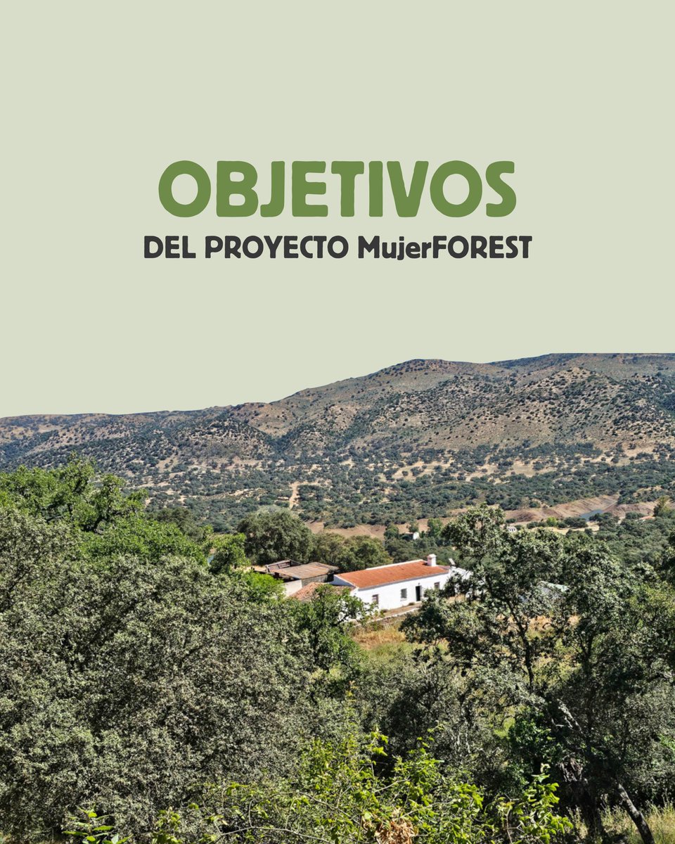 🌿 MujerFOREST impulsa nuevas oportunidades profesionales en el medio rural: formación en bioeconomía, gestión forestal sostenible y prevención de riesgos naturales.

🎯 Empleabilidad verde, emprendimiento rural, igualdad de oportunidades y sostenibilidad del territorio.