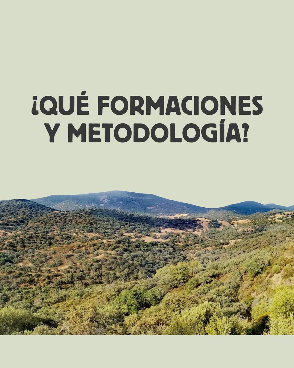 MujerFOREST ofrece 4 itinerarios formativos (100 h) en:
🌲 Prevención de riesgos naturales
🌾 Agroforestería y turismo rural
🌿 Gestión forestal multifuncional
💻 Digitalización del sector rural

Formación práctica, metodología híbrida y enfoque en empleabilidad verde y emprendim