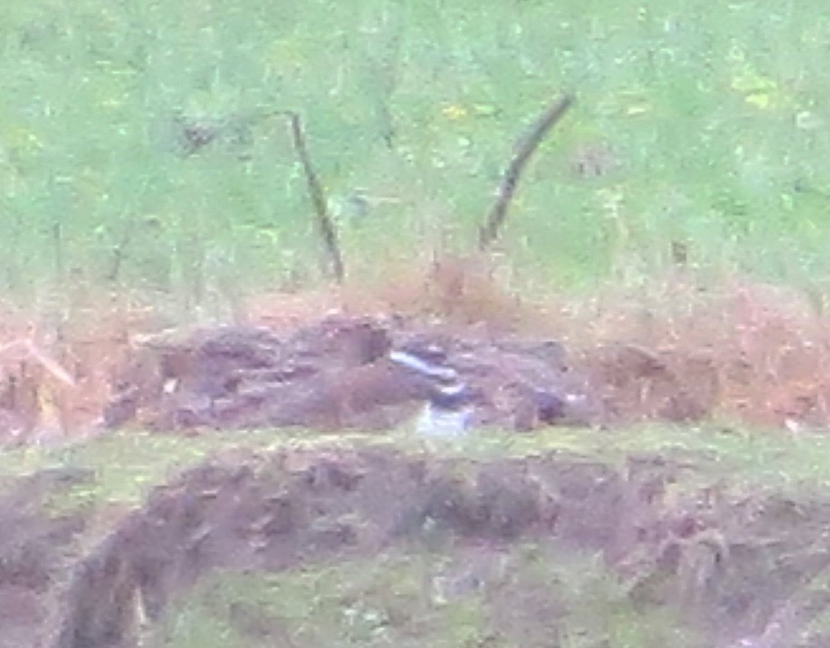 Paul Cashmore tweet media