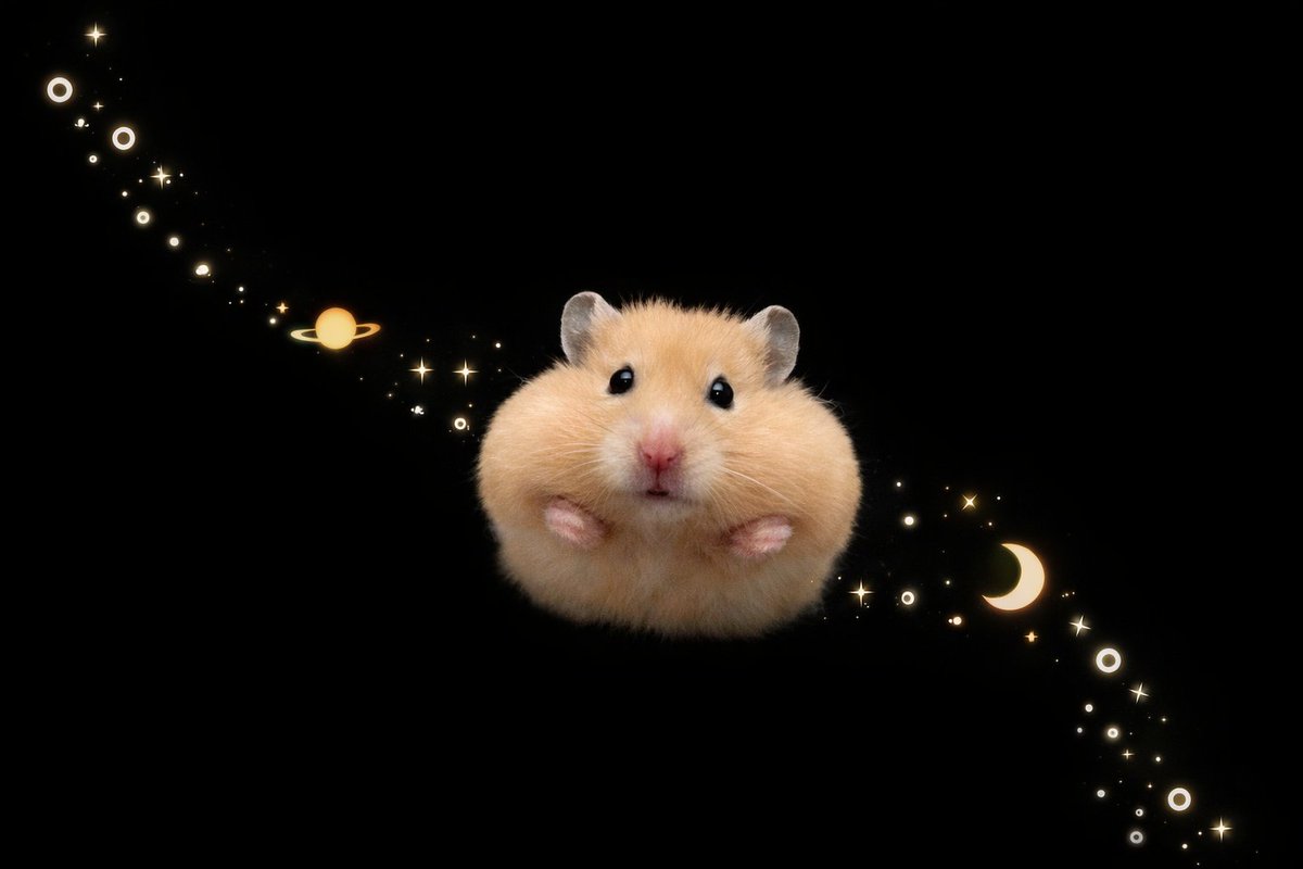 TweetsOfHamster's tweet image. ∴｡　
　･ﾟ*｡. 
　　･ *ﾟ
　 ･ ﾟ*
     🪐     
   *･｡
      *.｡ 
           ✨
              °*. ﾟ｡
                      °*.
                      ﾟ*.
                 🌙 ･
             ｡ ･ﾟ
       ｡°*.
    ｡*