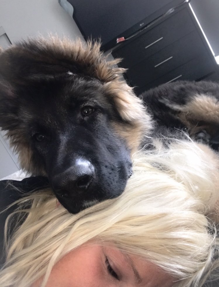 Sarah Bee🐝 tweet media