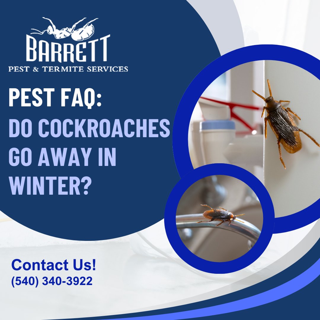 BarrettPest's tweet photo. FAQ: Do cockroaches go away in winter?

No. Cockroaches thrive indoors during colder months.

If you have a roach problem, we have your solution. Request a free consultation today.

https://t.co/Xhshktnp5a https://t.co/VFwNzzRpir