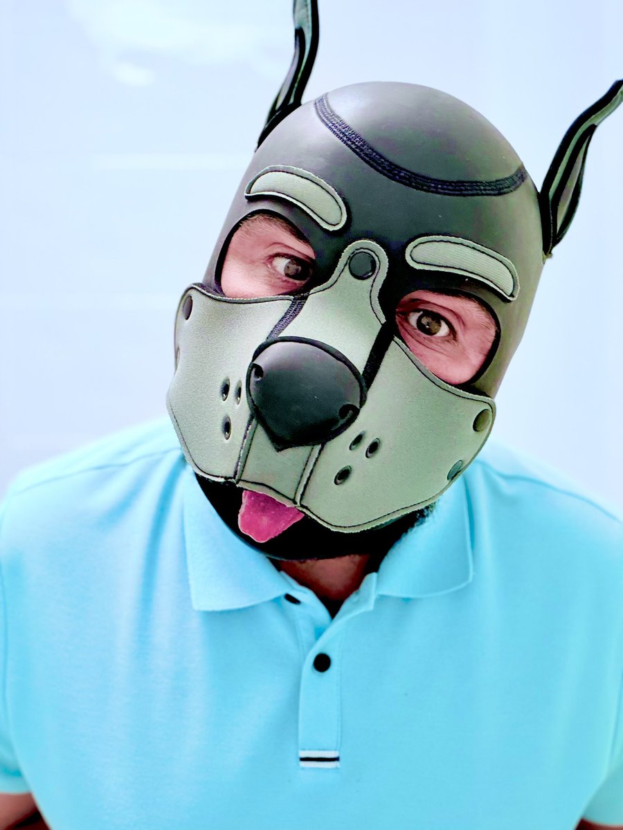 PupHugsy tweet media