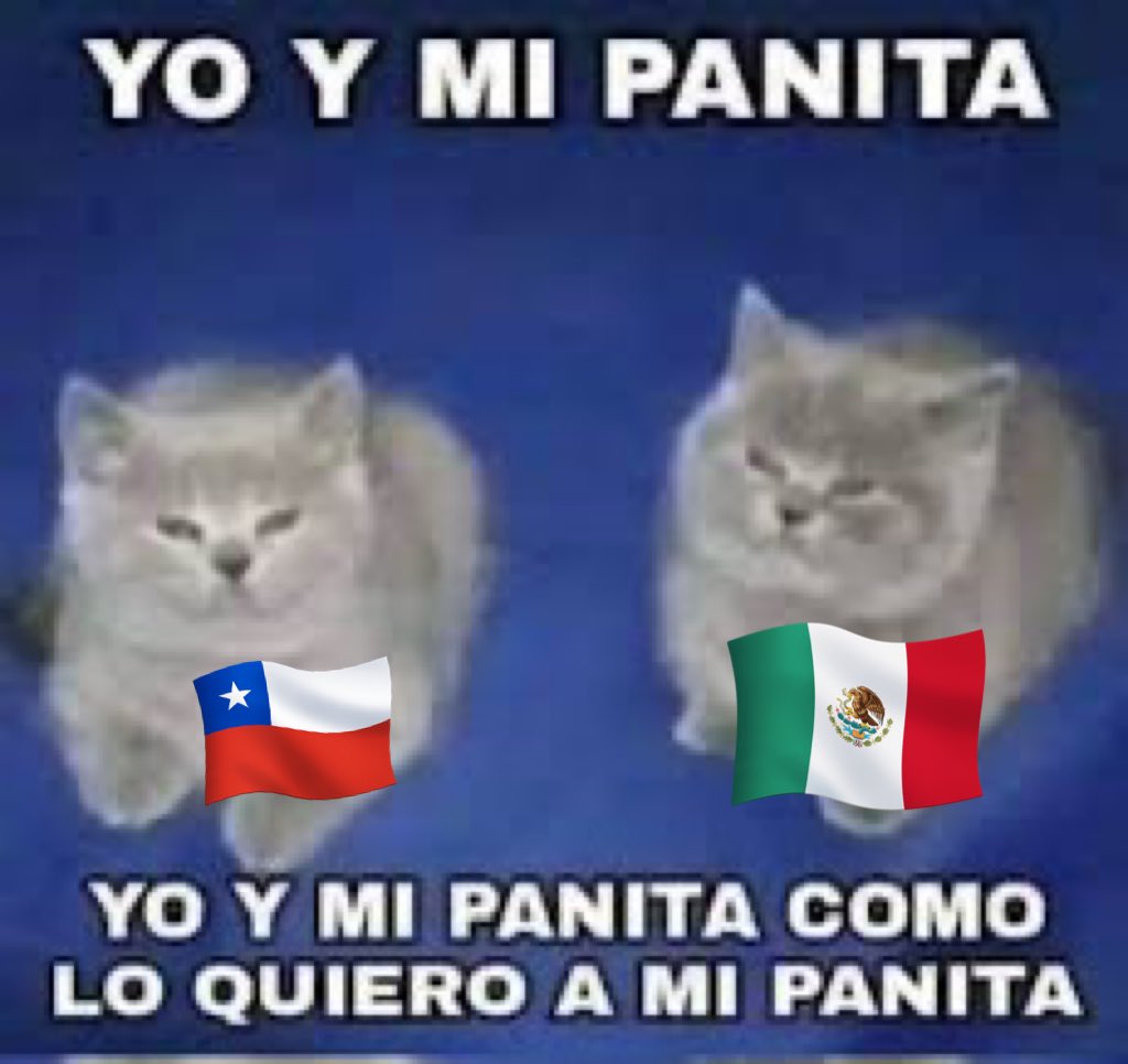 Psiquiatra gato (@gatodisforico) on Twitter photo 