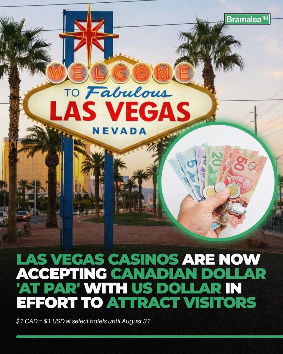 Bramalea Rd 🅱️🛣 tweet media