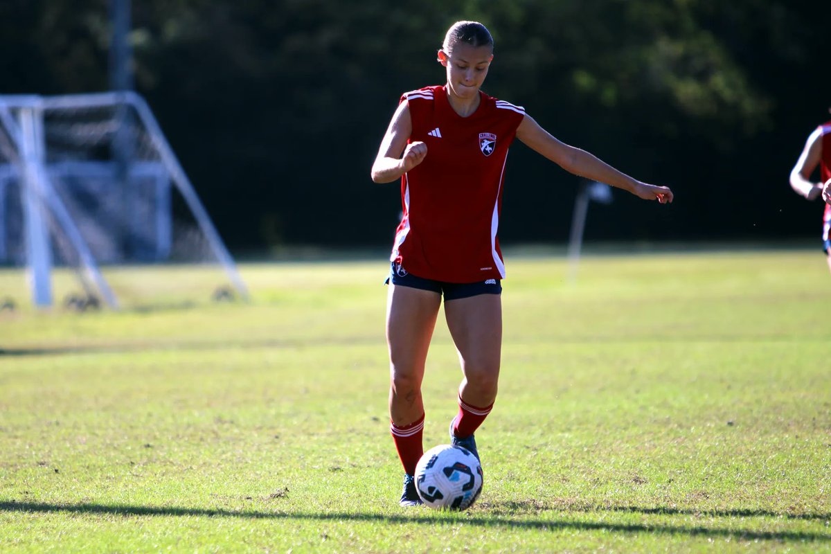 Guilherme Torres tweet media