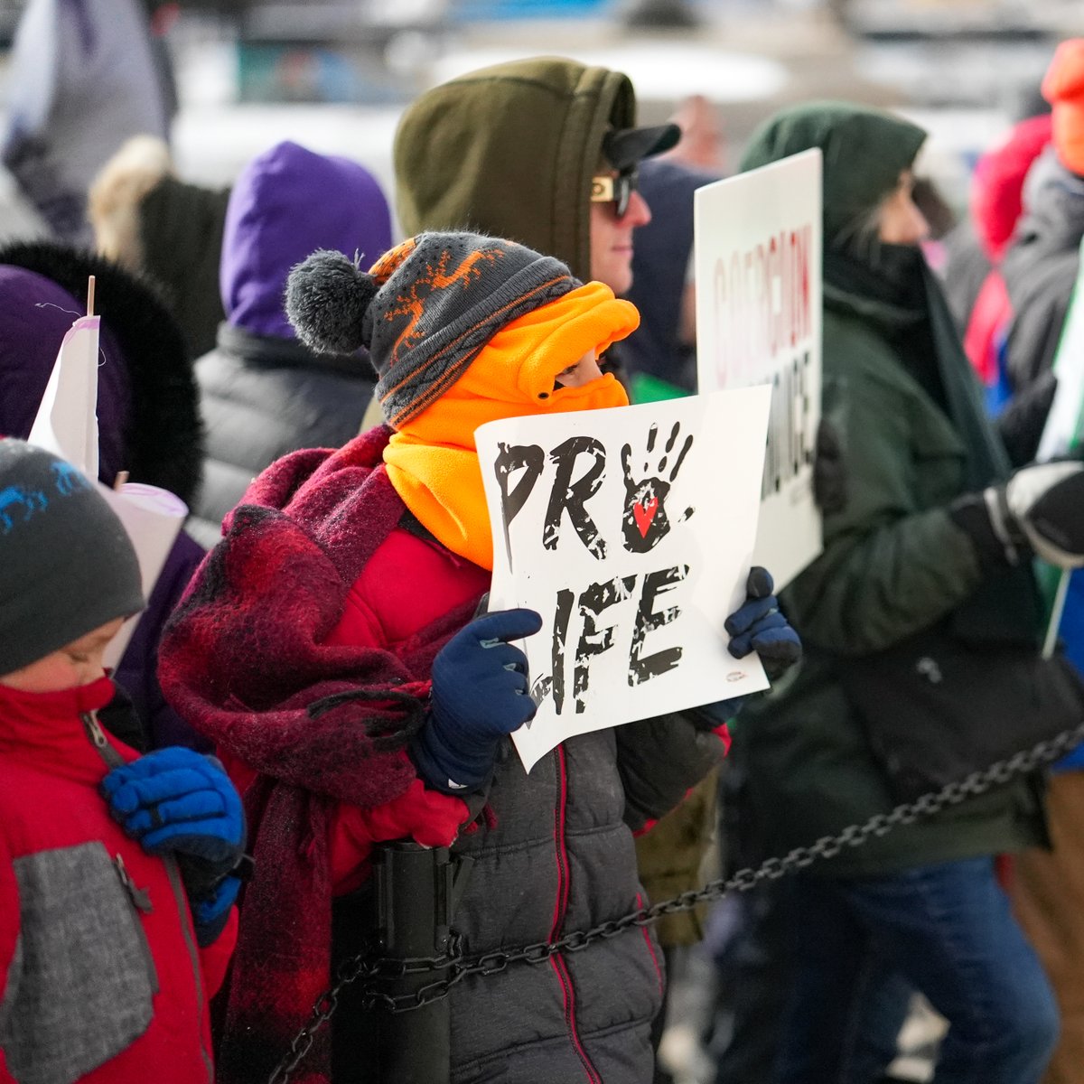 mnhousegop's tweet image. View from the Capitol this morning as hundreds of Minnesotans braved the cold to stand together at the March for Life. Thank you to all who came out. 💙
