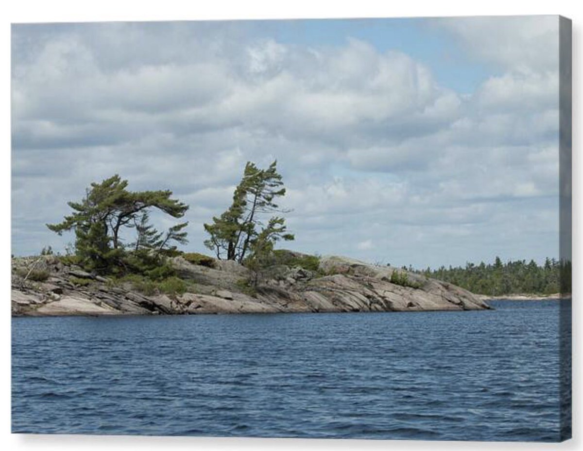 shonna99784's tweet image. Tranquil Georgian Bay White Pines and Rocks - Canvas Print shonna-hawkins.pixels.com/featured/tranq…

#Tranquil #GeorgianBay #WhitePines #Rocks #CanvasPrint #FineArtPrints #WallArt #HomeDecor #ShonnaHawkinsPhotography #BuyIntoArt